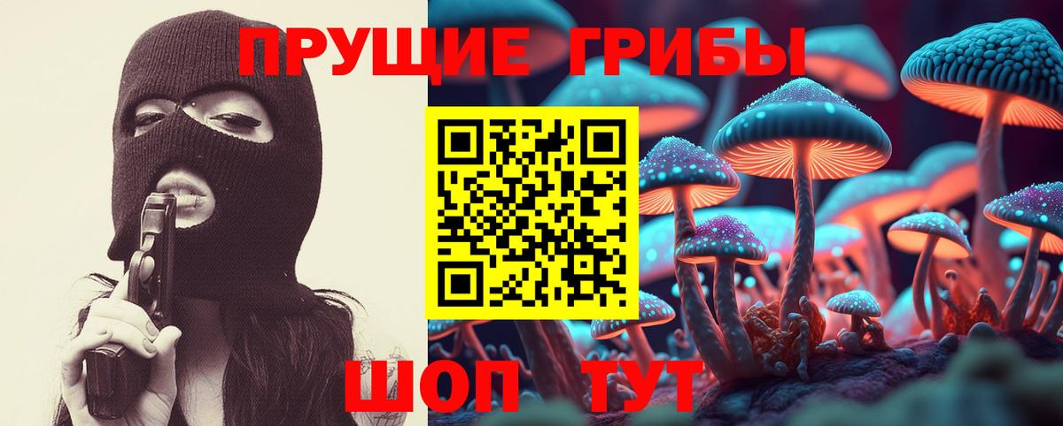 Кирово-Чепецк  Псилоцибиновые грибы Psilocybe  Вход с VPN  Галлюциногенные грибы ЛСД 